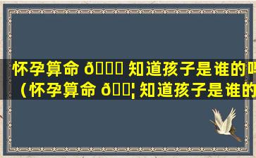 怀孕算命 🐈 知道孩子是谁的吗（怀孕算命 🐦 知道孩子是谁的吗准吗）